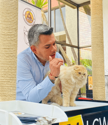 Juez felino LCWW sostiene un gato sobre una mesa