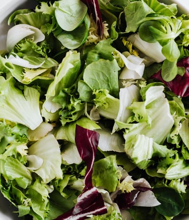  Pure Vegetarian Indian Cuisine