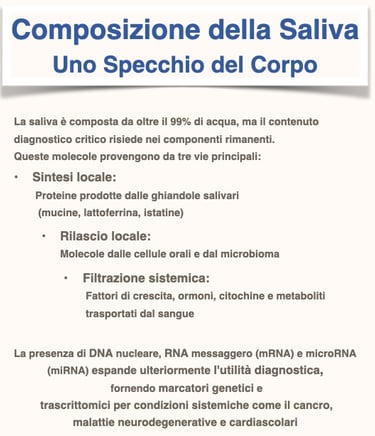 Formazione della saliva 