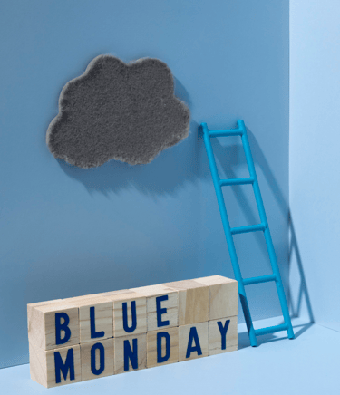 Blue monday, inceritude, bilan professionnelle, fatigue, orientation, formation DECLIC