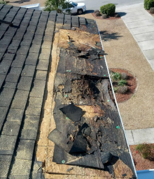 Local roofer repairing leak on residential roof in Belmont neighborhood Charlottesville Virginia