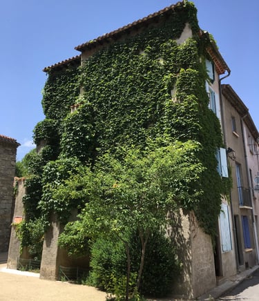 Emplacement d'un hébergement indépendant à Quillan, dans la vallée de l'Aude
