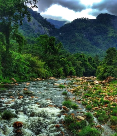 Waterstream at Anakulam