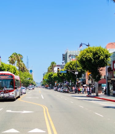 hollywood-walk-of-fame-los-angeles-street