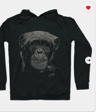 produits dérivés de mes oeuvres T-shirt-mug-sweat ,affiches,et plus