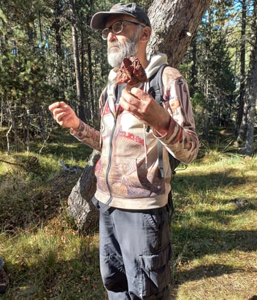 Sortie champigons avec Laurent, Formiguères septembre 2025