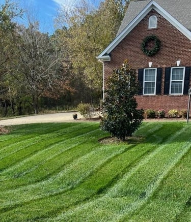 Expert lawn service maintaining a clean, healthy, and well-managed residential yard.