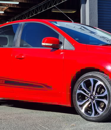 Racing Stripes Dunedin