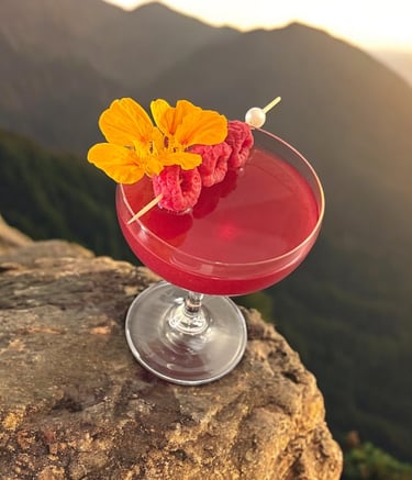 Cocktail by Kelsie Bender