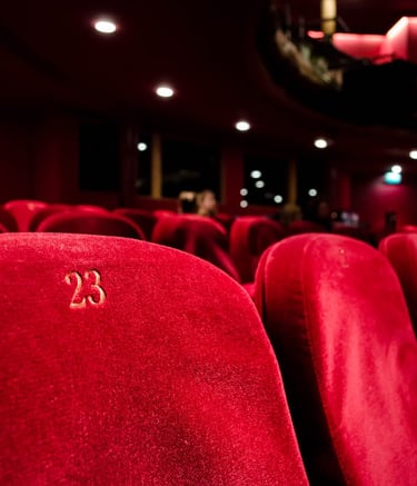 cinema-room-detail-los-angeles