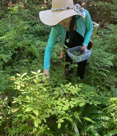 Healthy private chef huckleberries for luxury retreats glamping farm to table meals travelers Oregon