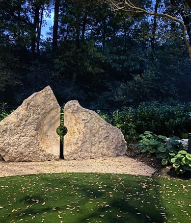 focused accent spot light on stone from tree