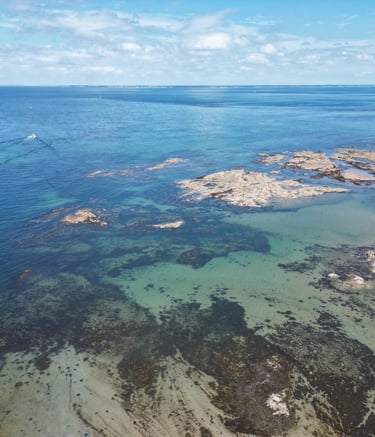 Côtes de l'herbaudière (85)