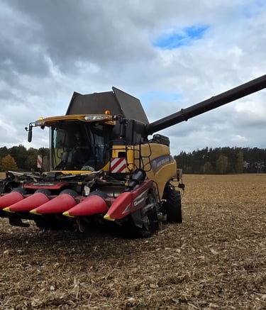 Zbiór kukurydzy na ziarno