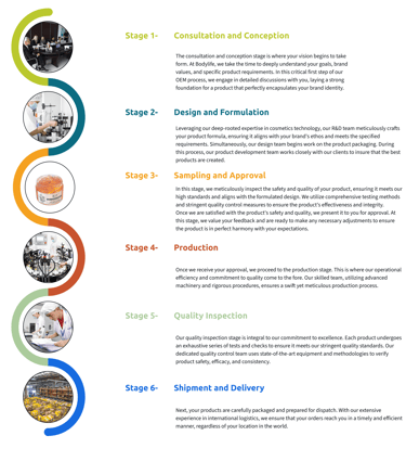 bodylife odm roadmap