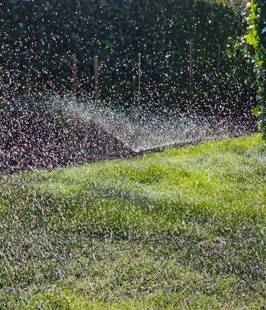 a sprinkler sprinkles in the grass
