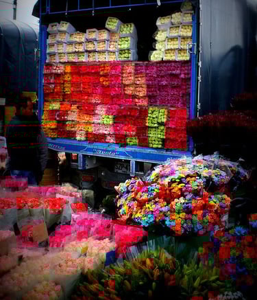 margaritas al por mayor pereria