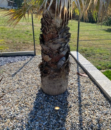 Luminaire, lumière, spot lumière