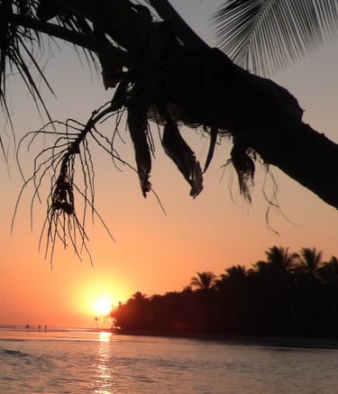 sunset over the Pacific Ocean at Parque Nacional Marino Ballena 