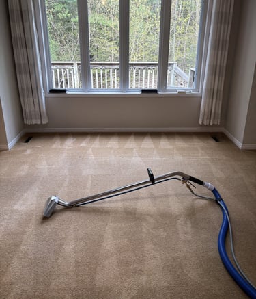 Steam carpet cleaning in progress with wand tool on freshly cleaned carpet in a bright bedroom.