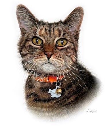 Detailed colored pencil pet portrait of a brown tabby cat named Angel with an orange collar.