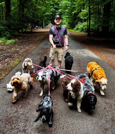Professional Dog Walking, Sitting & Coaching Services in Brussels