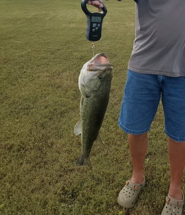 Private Fishing Lake: Cast a line in the catch-and-release stocked lake.