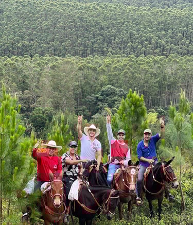 Personas dando un paseo a caballo por las montañas del lago calima