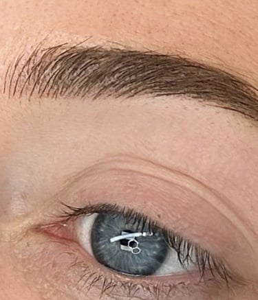 xSample image of a microbladed brow with hairstrokes and shading.