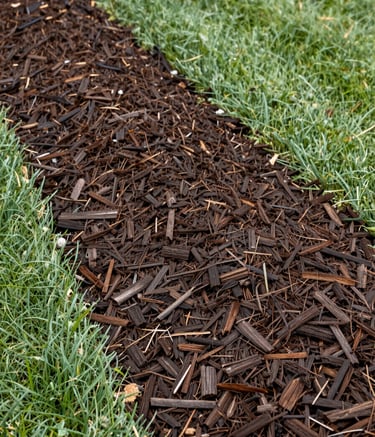 Detailed photography of a freshly edged garden bed with rich, dark brown mulch. The contrast between the sage green lawn and the dark mulch is sharp and professional. North American residential setting with clean lines.