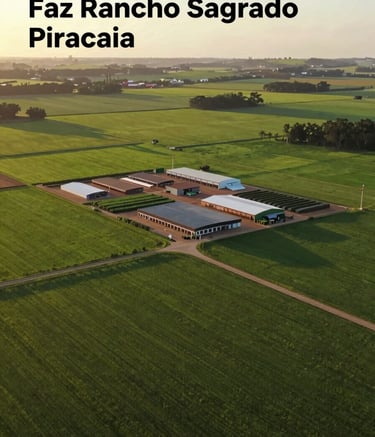 Aerial view of Faz Rancho Sagrado in Piracaia, showing lush green pastures and modern agricultural infrastructure. The composition is clean and organized, with a sophisticated color palette featuring deep greens and earthy browns like #6E5D4E. The lighting is golden hour, evoking reliability and tradition.