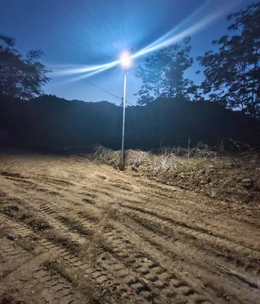 solar street light