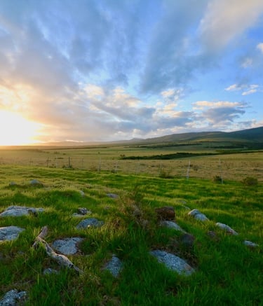 Overberg landscape sunset over green fields