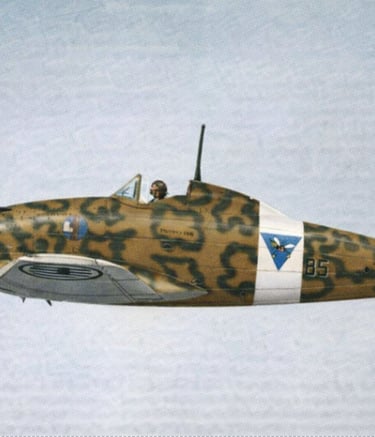 Macchi C200 Saetta