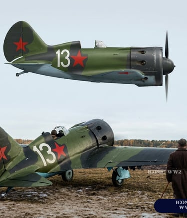 Polikarpov I-16 Fighter