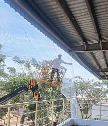 Completed pigeon net installation covering warehouse loading bays