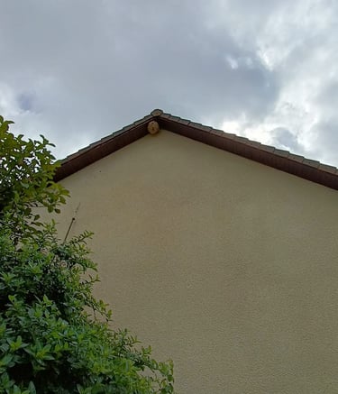 destruction nids frelon asiatique Le Havre 76