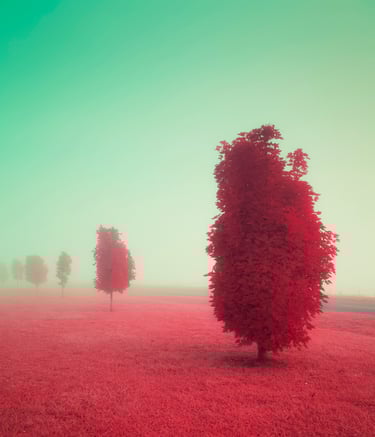 Infrared par le photographe David Keochkerian