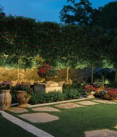 landscape up lighting trees