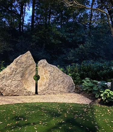 focused accent spot light on stone from tree