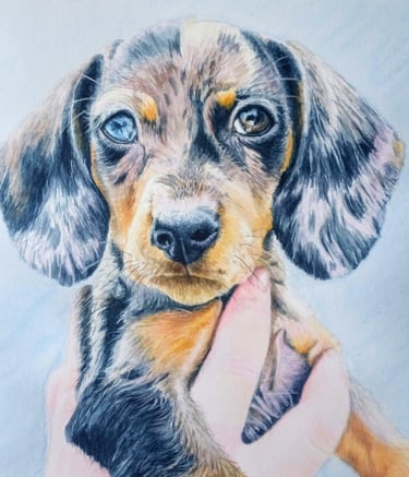 Pet portrait commission of Arlo