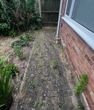 Exterior pressure washing service for homes in Norwich Norfolk by PJB Exterior Cleaning