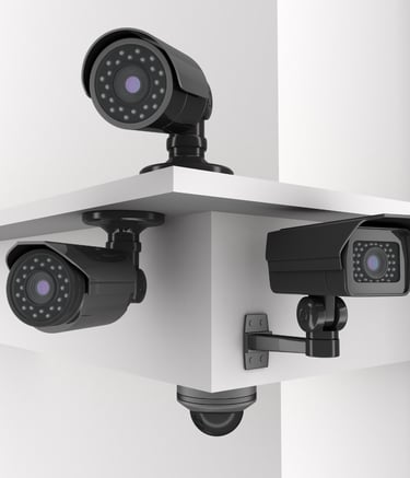 Seguridad Inteligente