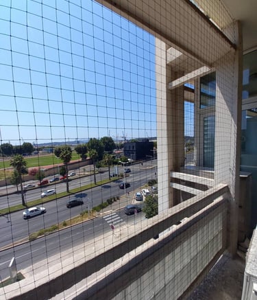 entreprise de dépigeonnage à Valence