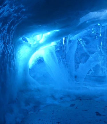 video et photo reportage