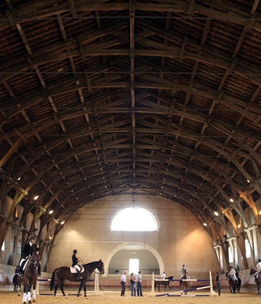 video et photo equitation tarascon