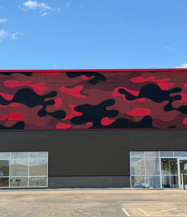 Minnesota Muralist Minneapolis Storms Dworak Mural