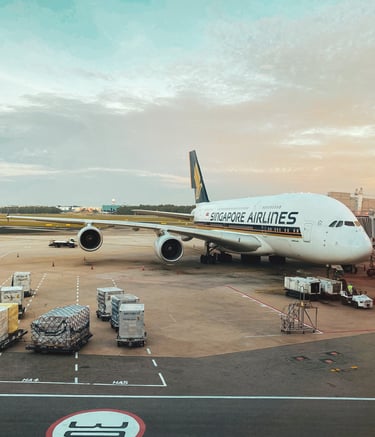 airport runway, airport, air freight, customs clearance, biosecurity clearance, quarantine clearance