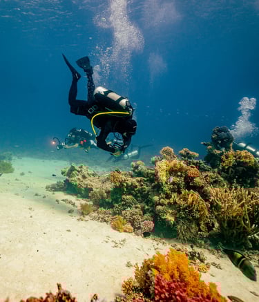 divers exploring a reef in the red sea