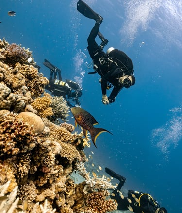 underwater navigation on a tropical reef